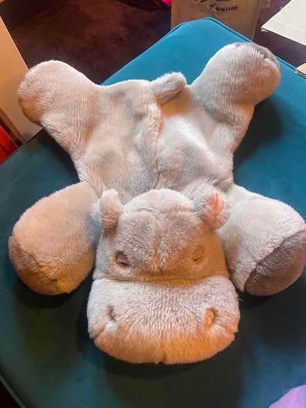 Photo of free Hippo hot water bottle cover (LS5 Kirkstall) #1