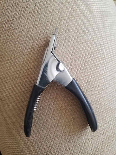 Photo of free Guinea pig nail clippers (Clayton Bridge M40) #1