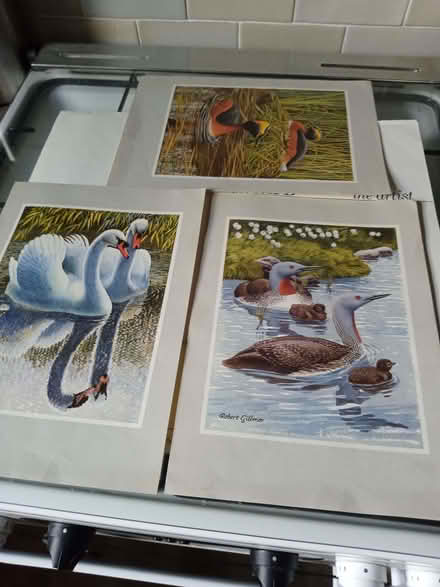 Photo of free Water bird prints (South Reading RG2) #1