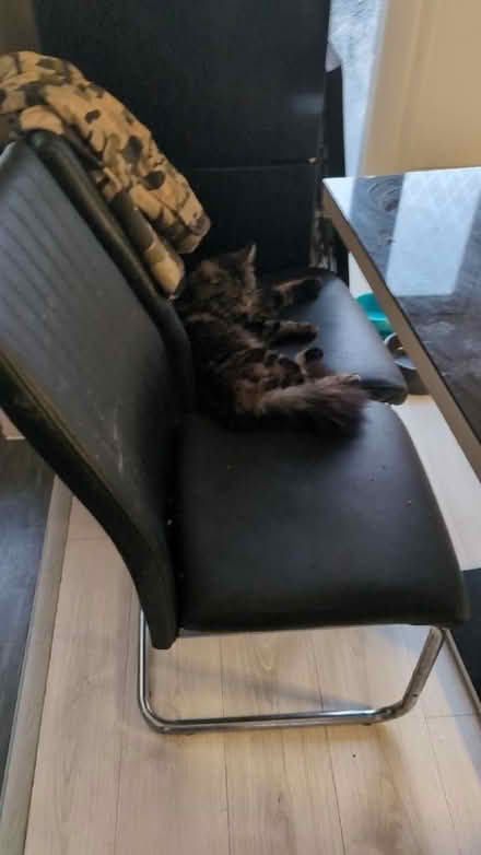 Photo of free Glass table 3 chairs (Bromley North BR1) #3