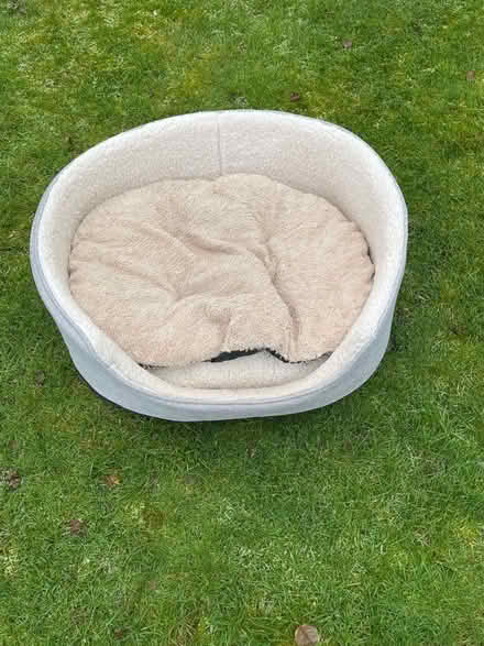 Photo of free Dogs bed (Weybridge KT13) #1