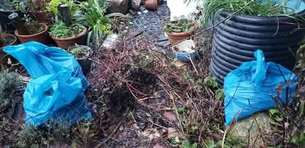 Photo of free rubble/hardcore (Lescudjack Penzance) #1