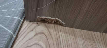 Photo of free Chest of drawers (Hersham KT12) #3