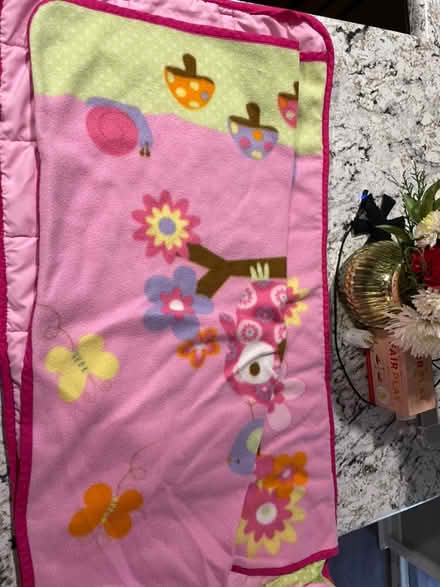 Photo of free Toddler sleeping bag (Broomfield) #2