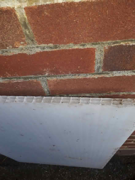 Photo of free Plastic Sheet (CT3) #2
