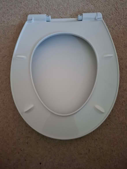 Photo of free White Toilet Seat (IP31) #2