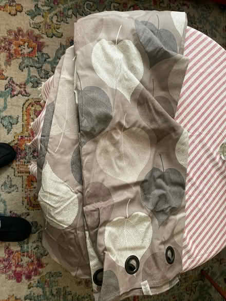 Photo of free Next curtains (Nottingham NG5) #1