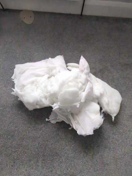 Photo of free Some bedding Material (SM2) #2