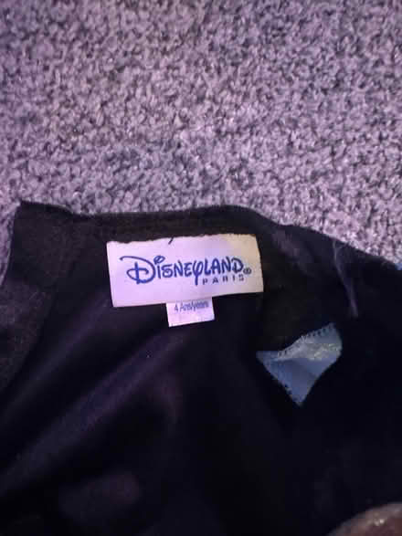 Photo of free Disney Princess Dress (Bexhill-on-Sea - TN39) #2