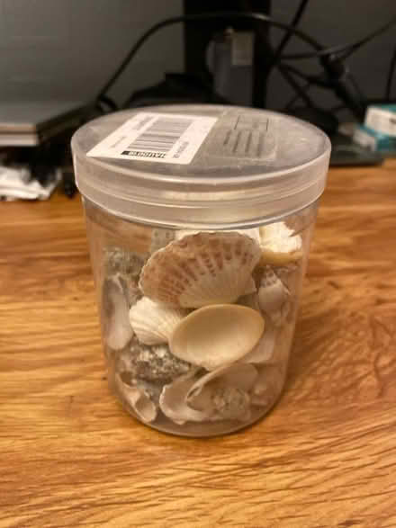 Photo of free Shells (Bedminster Down BS13) #1