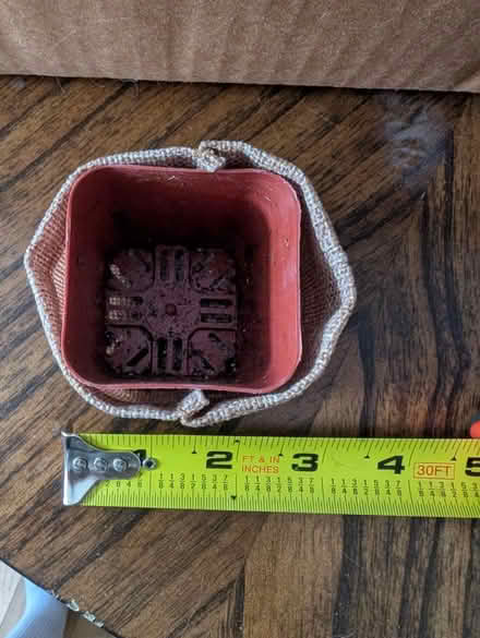 Photo of free 72 sm plant pots with burlap covers (North Plainfield) #3
