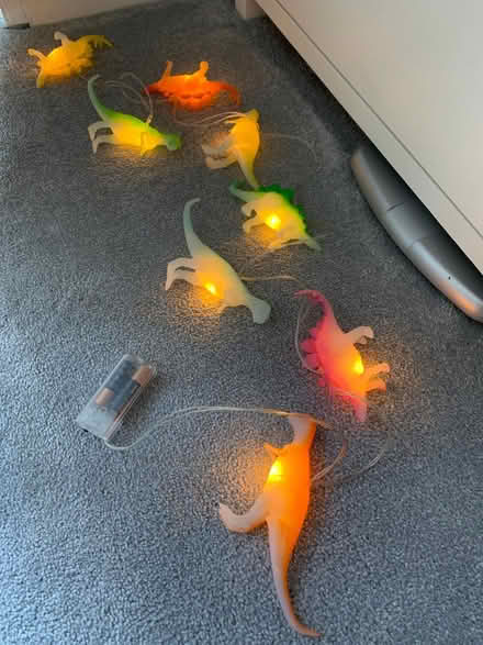Photo of free Dinosaur Lights (Battery) (Hailsham BN27) #1