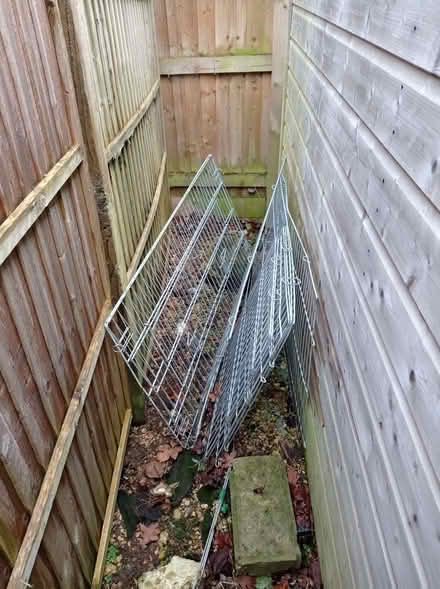 Photo of free Guinea pig run (or crop protection?) (Chippenham SN15) #1