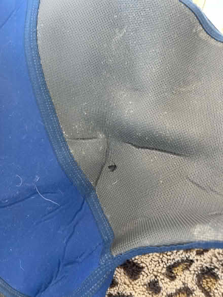 Photo of free Large wetsuit 44 (Netherfield, Battle) #3
