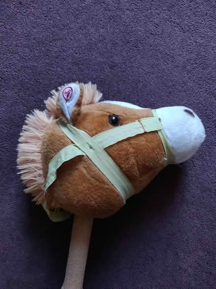 Photo of free Hobby horse (Woodside London SE25) #1