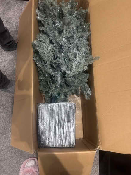 Photo of free Christmas tree (West Bromwich) #1