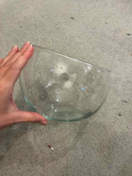 Photo of free Glass vase (AL1) #1