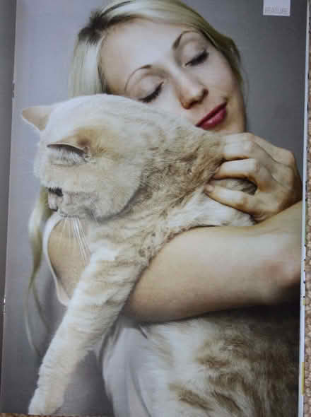 Photo of free 14 x Copies of CAT Magazine (Blofield Heath NR13) #3