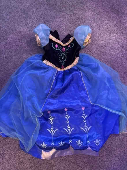 Photo of free Disney Princess Dress (Bexhill-on-Sea - TN39) #1