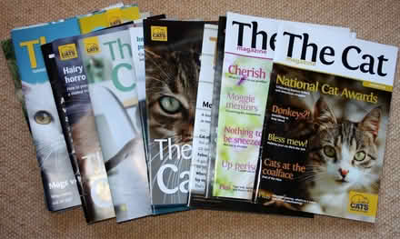 Photo of free 14 x Copies of CAT Magazine (Blofield Heath NR13) #1