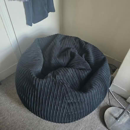 Photo of free 2 x Large been bags (Rochester ME1) #1