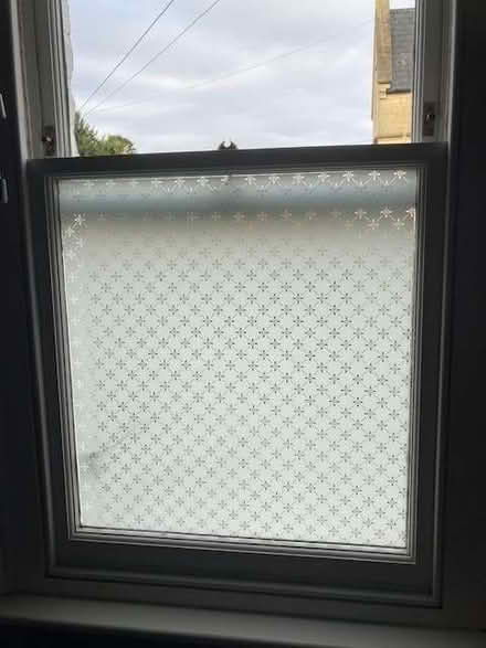 Photo of free D-C fix static window film (Lower Weston) #1