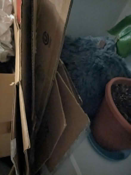 Photo of free Moving boxes and materials (G51) #3