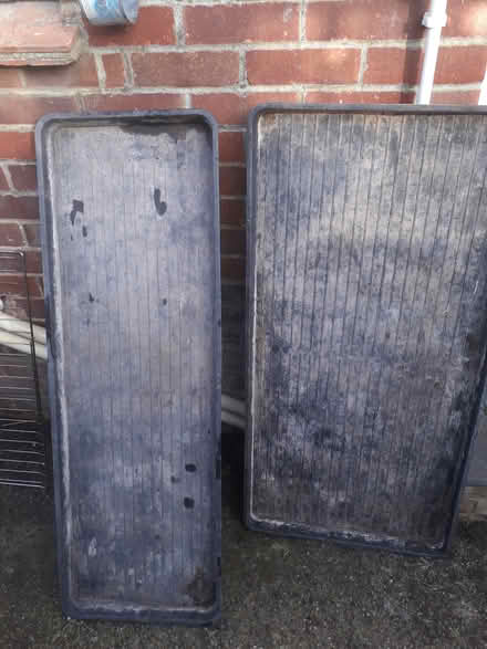 Photo of free Seed Trays (CT3) #1