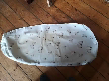 Photo of free Ironing board cover (Joppa EH15) #1