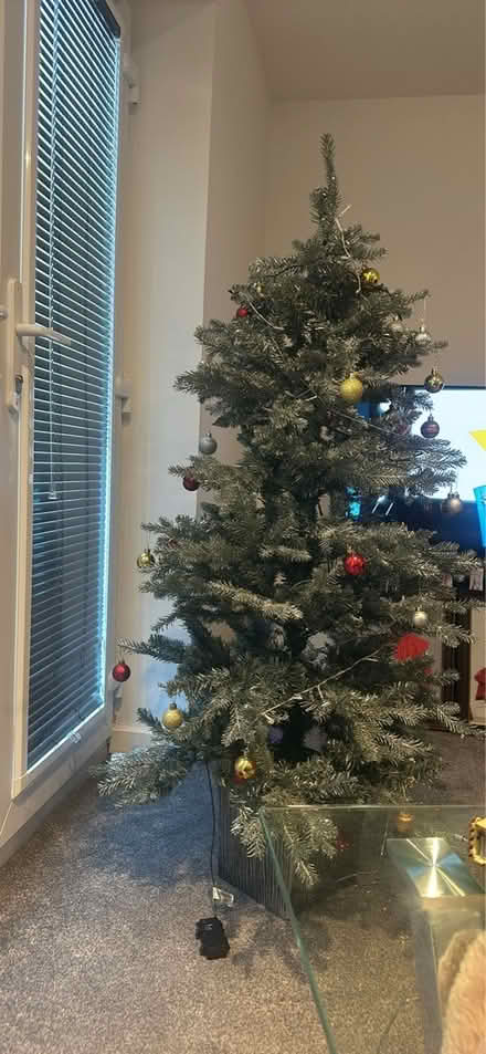 Photo of free Christmas tree (West Bromwich) #2