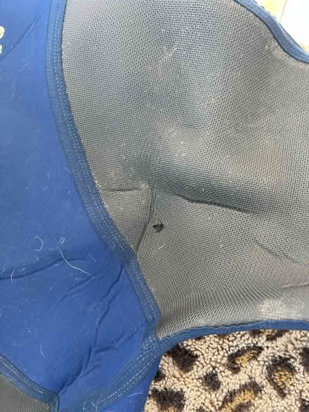 Photo of free Large wetsuit 44 (Netherfield, Battle) #4