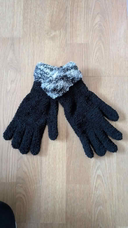 Photo of free Feather touch black gloves (Tranmere CH42) #1