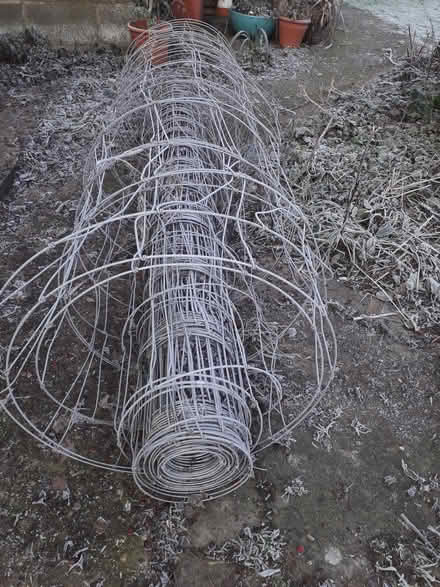 Photo of free Deer Wire (CT3) #1