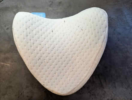 Photo of free Contour knee pillow (Seattle Bitter Lake) #1