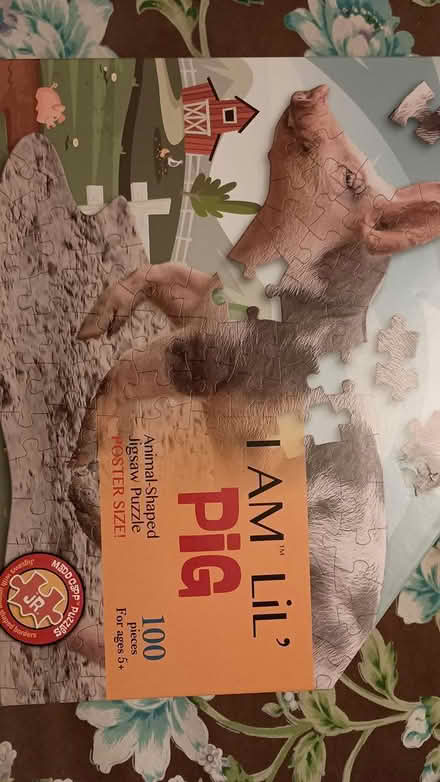 Photo of free 100 piece jigsaw puzzle, ages 5&up (Somerville, off Cedar St) #1