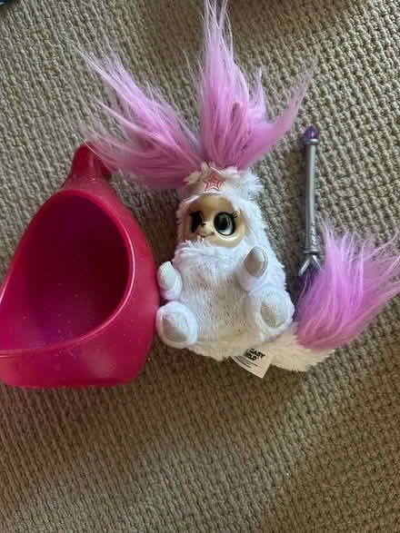 Photo of free Bush baby (GU51) #1