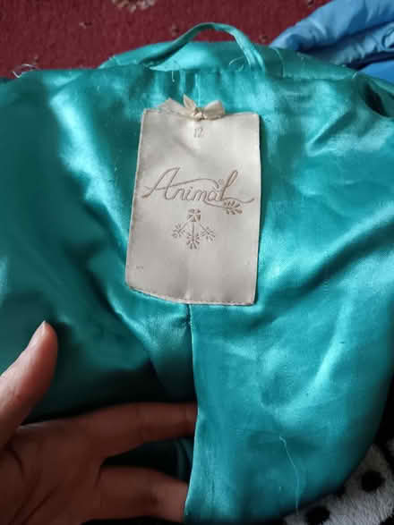 Photo of free Ladies Animal size 12 coat (Bramley, Leeds LS13) #4