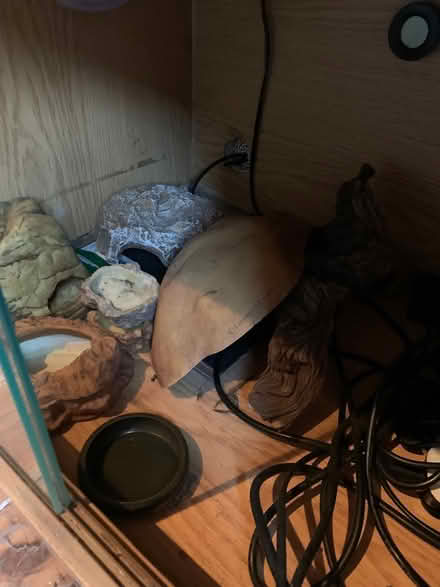 Photo of free Reptile Tank (B31 4QH) #3