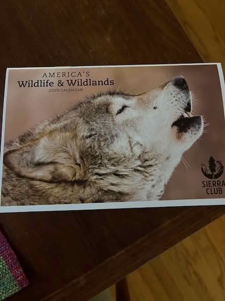 Photo of free new calendar (Woodside Plaza) #2