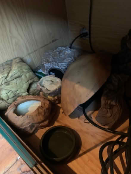Photo of free Reptile Tank (B31 4QH) #4