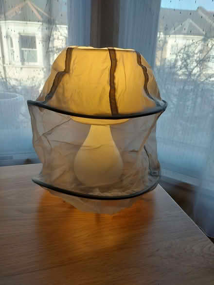 Photo of free Anti-insect Gauze Hat (Brixton SW2) #1