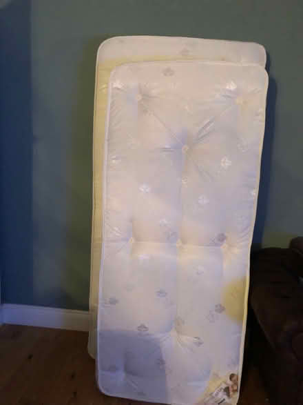 Photo of free Single 3ft bed with guestbed (Shirley, Croydon) #2