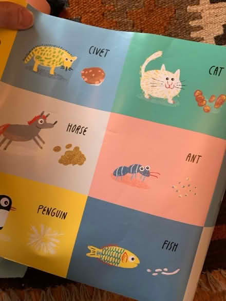 Photo of free 3xKids educational posters (Lifford, kings Norton B30) #3