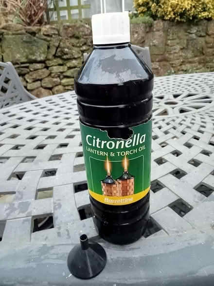 Photo of free Garden torches (Tadmarton OX15) #3