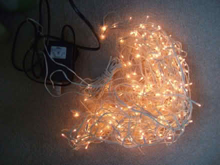 Photo of free Long string of small light bulbs (Jennyfield HG3) #2