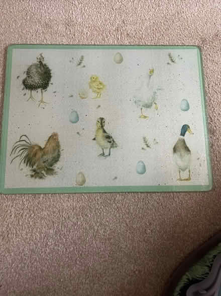 Photo of free Wrendale Birds Glass Worktop Protectors (Southfields SW18) #1