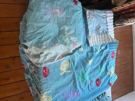 Photo of free Curtain pair and candlewick bedspread (Sheffield Park TN22) #1