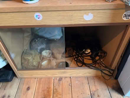 Photo of free Reptile Tank (B31 4QH) #1