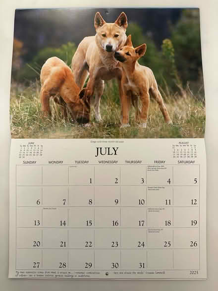 Photo of free 2025 Calendar (Derwent Road LA1) #3