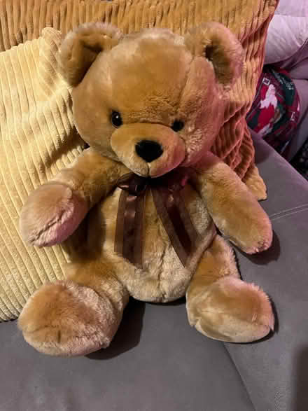 Photo of free Teddy (Chatham) #1